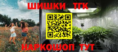 индика Партизанск