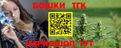 индика Партизанск